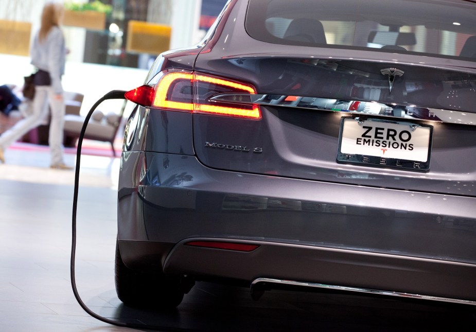 Tesla owners sometimes tap the charger on a Tesla's taillight before use.