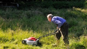 lawn mower dead, lawnmower dead