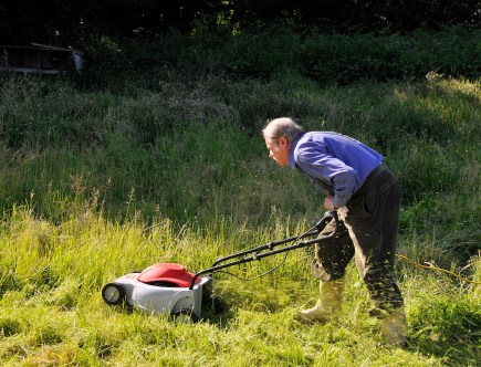5 Warning Signs Your Lawn Mower Is Almost Dead