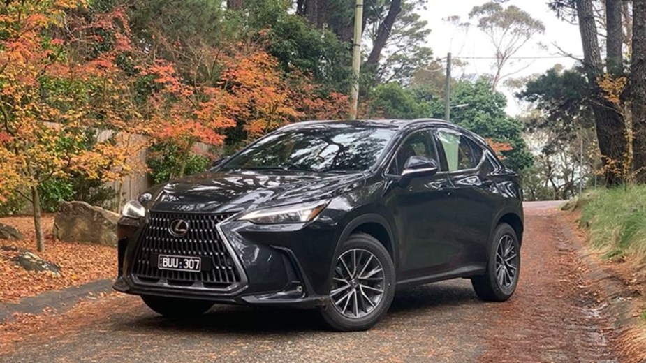 Black 2022 Lexus NX 350h surrounded by fall colors