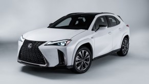 A white 2023 Lexus UXh in a white room, a great 2023 Lexus SUV.