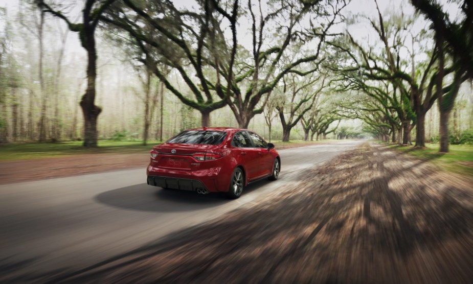 A rendering of a red 2023 Toyota Corolla Hybrid is driving away from the viewer along a treelined paved road.