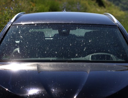 Have You Noticed Fewer Bugs on Your Windshield?