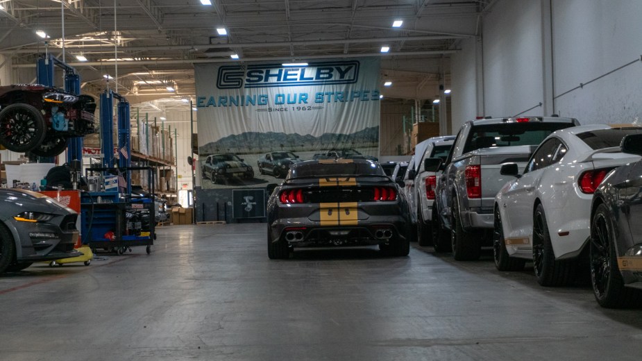 Many Shelby cars and trucks are on the floor of the factory.