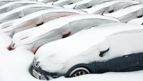 Vehicles are covered in snow in the yard of a car dealership.
