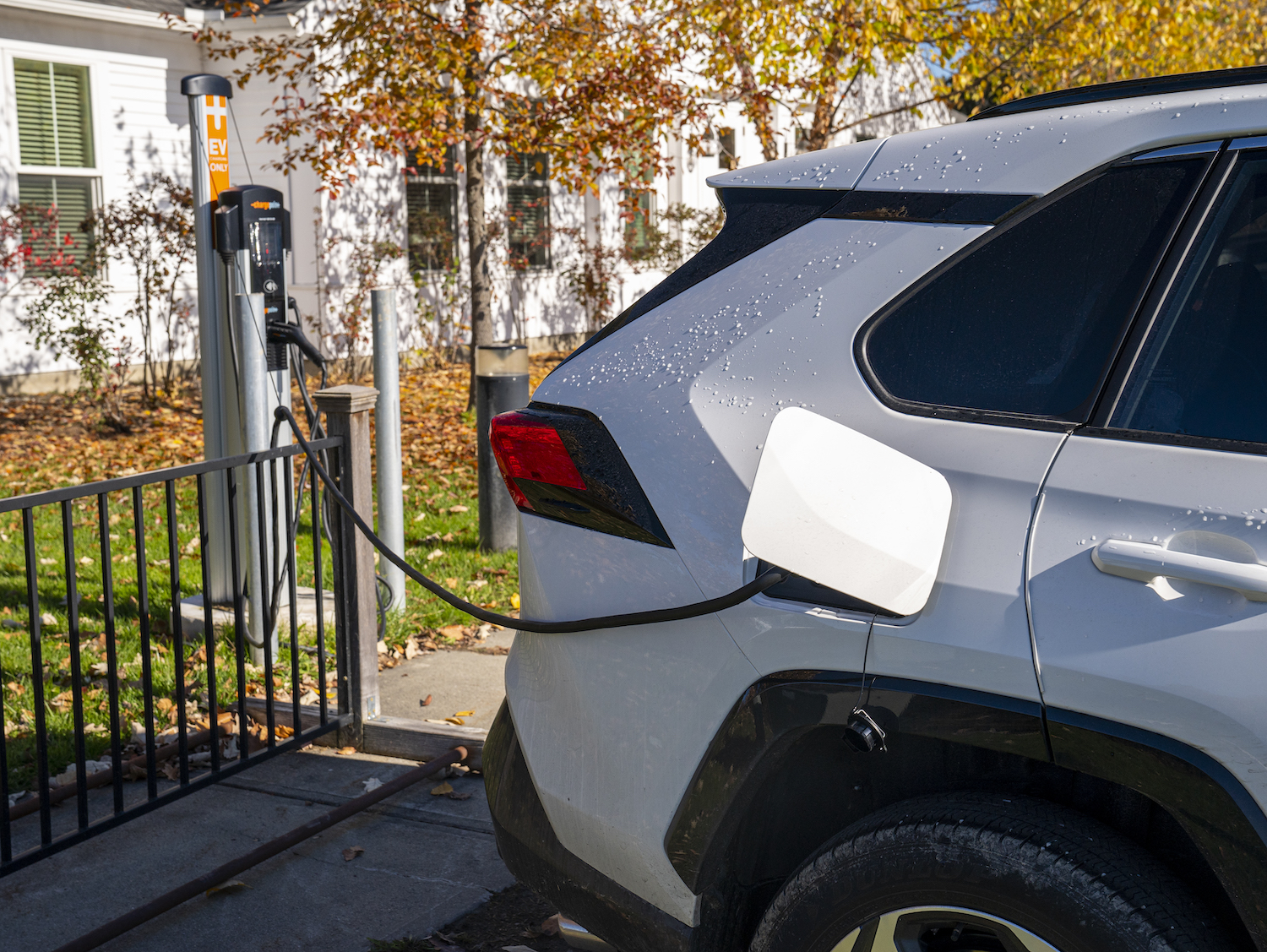 Closeup of a RAV4 Prime plug-in hybrid charging its battery, a Vermont lawn with fall foliage visible in the background. 