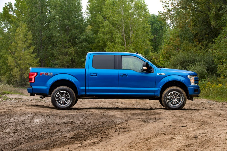 The side of a blue, Ford F-150 pickup truck parked in front of a row of trees.