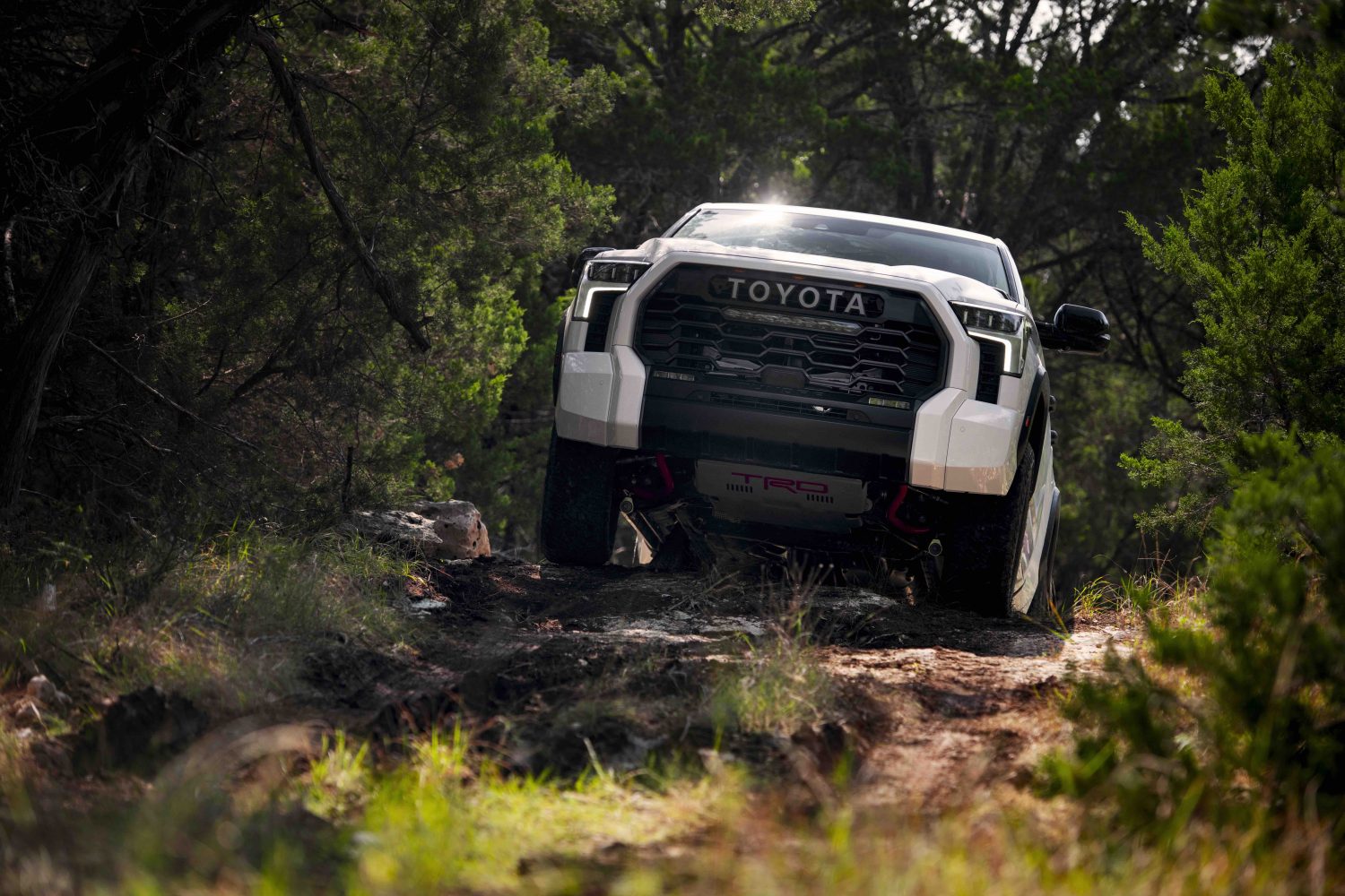 A white 2022 Toyota Tundra TRD Pro pickup truck navigates an off-road 4x4 trail, trees in the background.