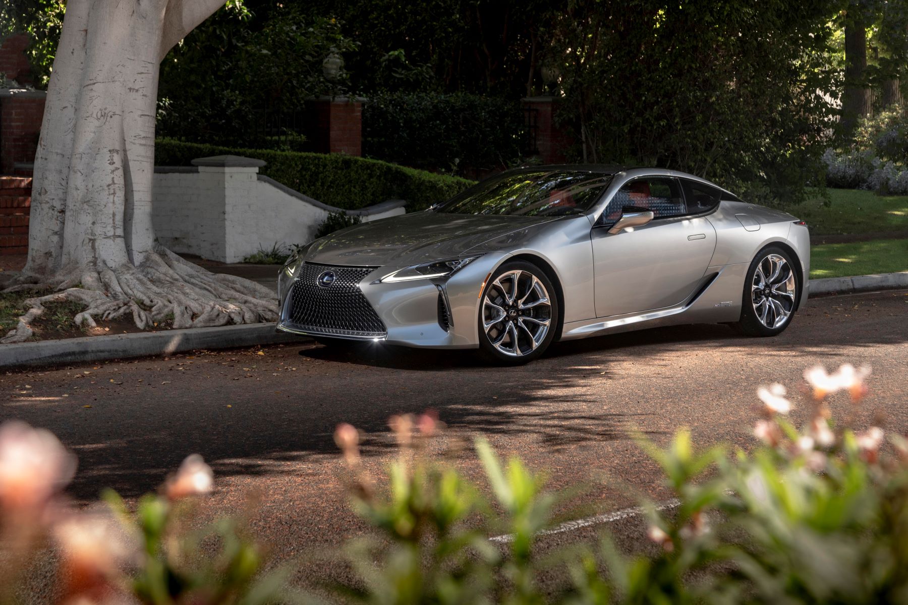 A silver gray 2023 Lexus LC 500h hybrid luxury sports car model parked under the shade of a white bark tree
