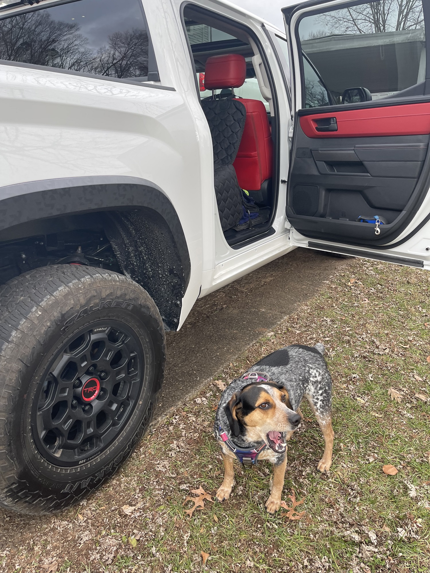 7 Things To Know Before Buying The 2023 Toyota Tundra TRD Pro
