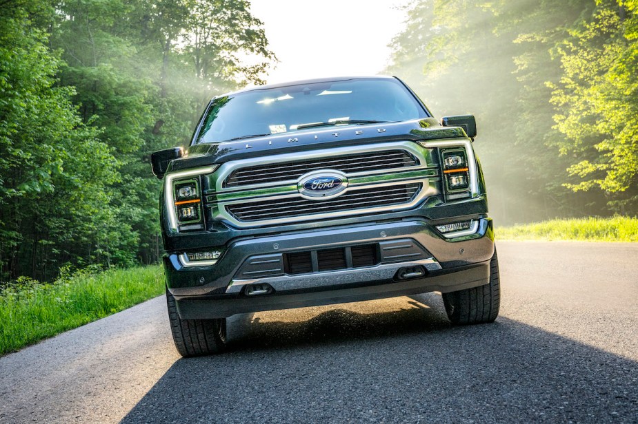 The Ford F-150 driving in a wooded area. The Hybrid is the most powerful engine you can get in a new F-150 that's not a Raptor. 