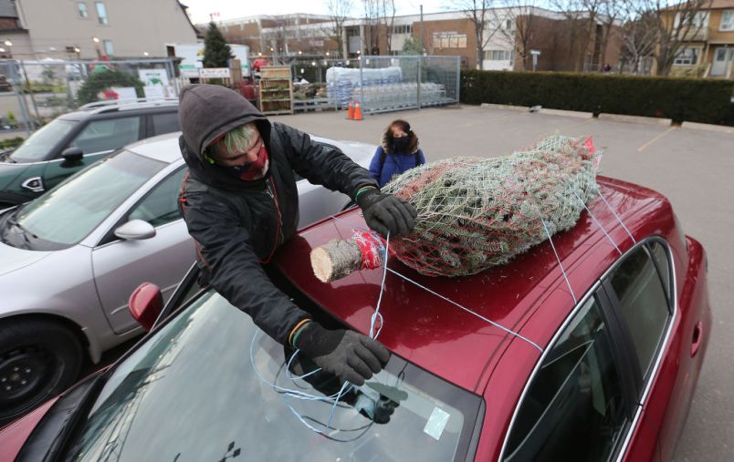 How to Bring a Christmas Tree Home Tied to Your Car, SUV or Truck