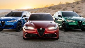 Trio of 2023 Alfa Romeo Stelvio Quadrifoglio Models in Blue, Red, and Green
