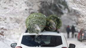 two christmas trees tied to the roof of an SUV