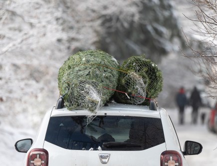 How to Bring a Christmas Tree Home Tied to Your Car, SUV or Truck