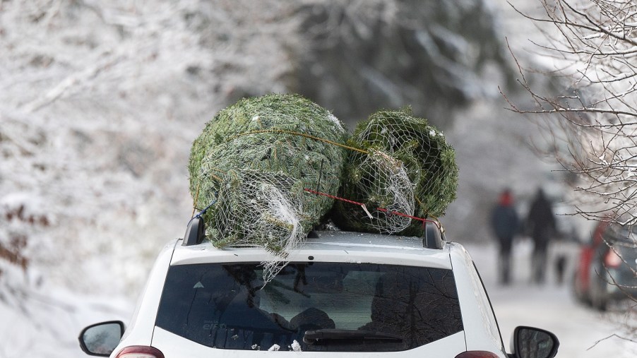 two christmas trees tied to the roof of an SUV