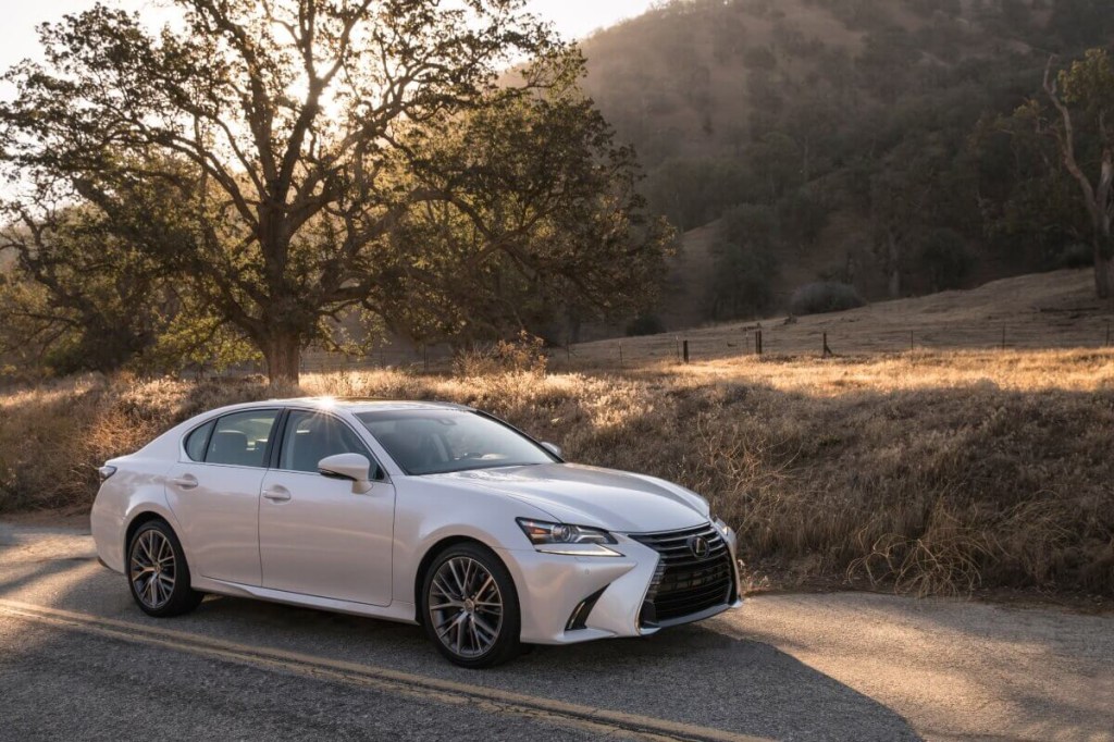A white, used 2019 Lexus GS 350 parks next to a great tree at sunset. 