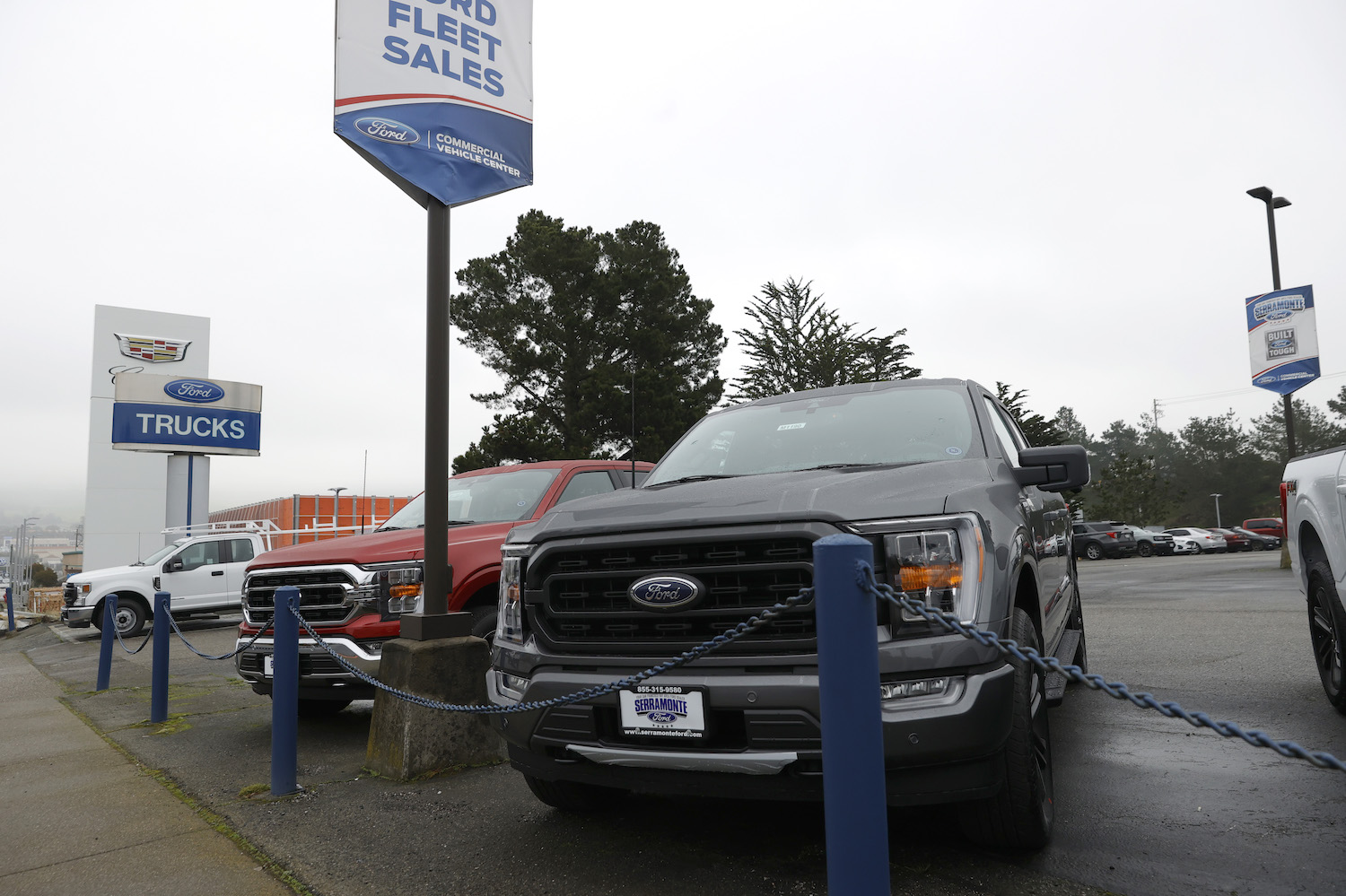 A row of new Ford F-150 and Super Duty pickup trucks parked at a dealership, Ford signs visible in teh background.