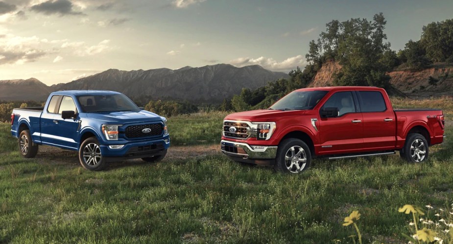 Two Ford F-150 full-size pickup trucks (L) blue, (R) red, parked in the grass.