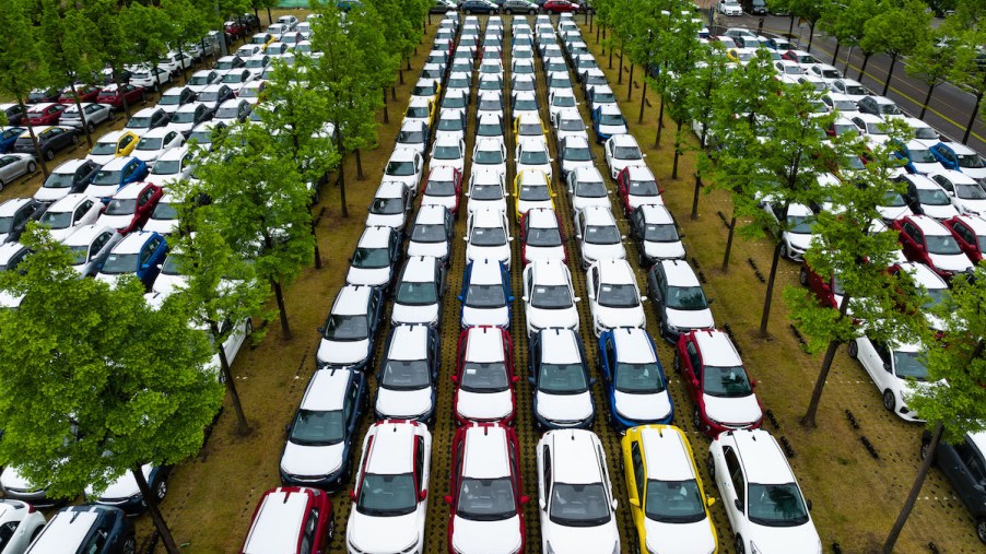 A group of white Kia cars that are sitting among trees, hopefully avoiding depreciation.