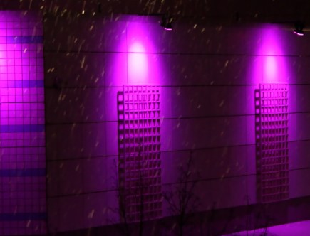 Why Are Street Lights Mysteriously Turning Purple in Cities?
