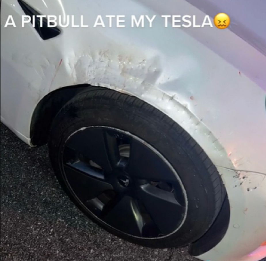 Tesla attack