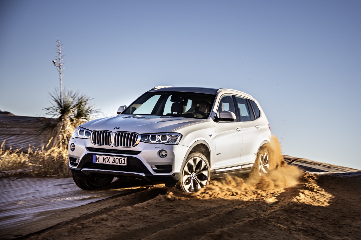 These fuel-efficient SUVs from 2015 include the BMW X3 diesel