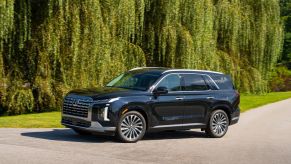 A dark colored 2023 Hyundai Palisade midsize crossover SUV model framed by leafy tree branches