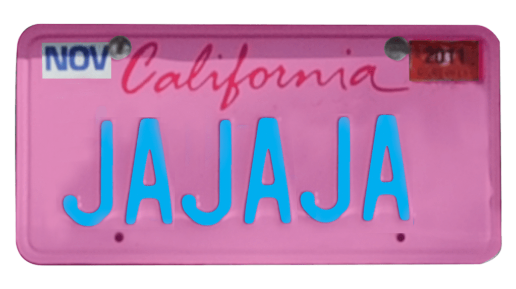 16Month Jail Sentences This Illegal License Plate Trend Is Skyrocketing