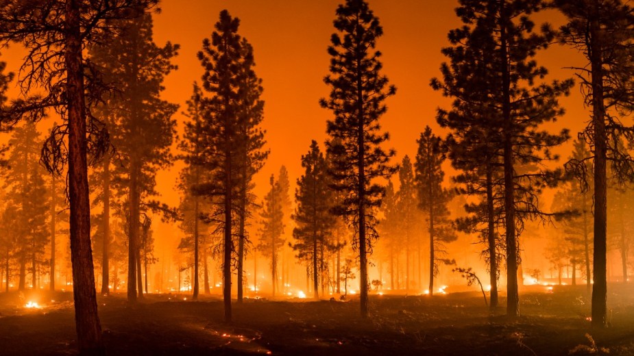 California Wildfires Ravaging the West Coast