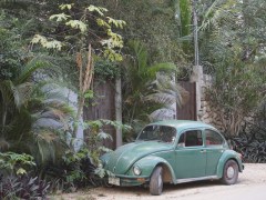 Volkswagen Built the Classic VW Bug for So Long, It Overlapped With the New Beetle
