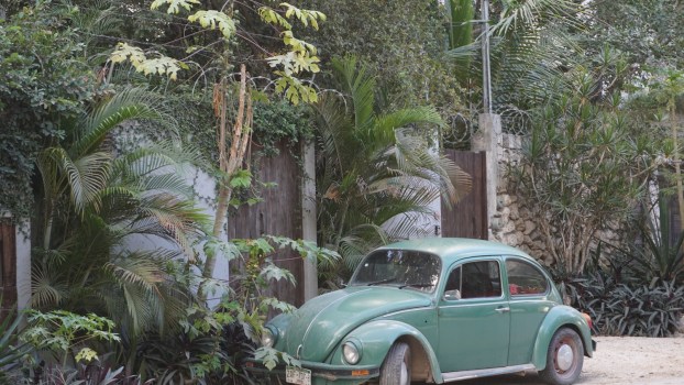Volkswagen Built the Classic VW Bug for So Long, It Overlapped With the New Beetle