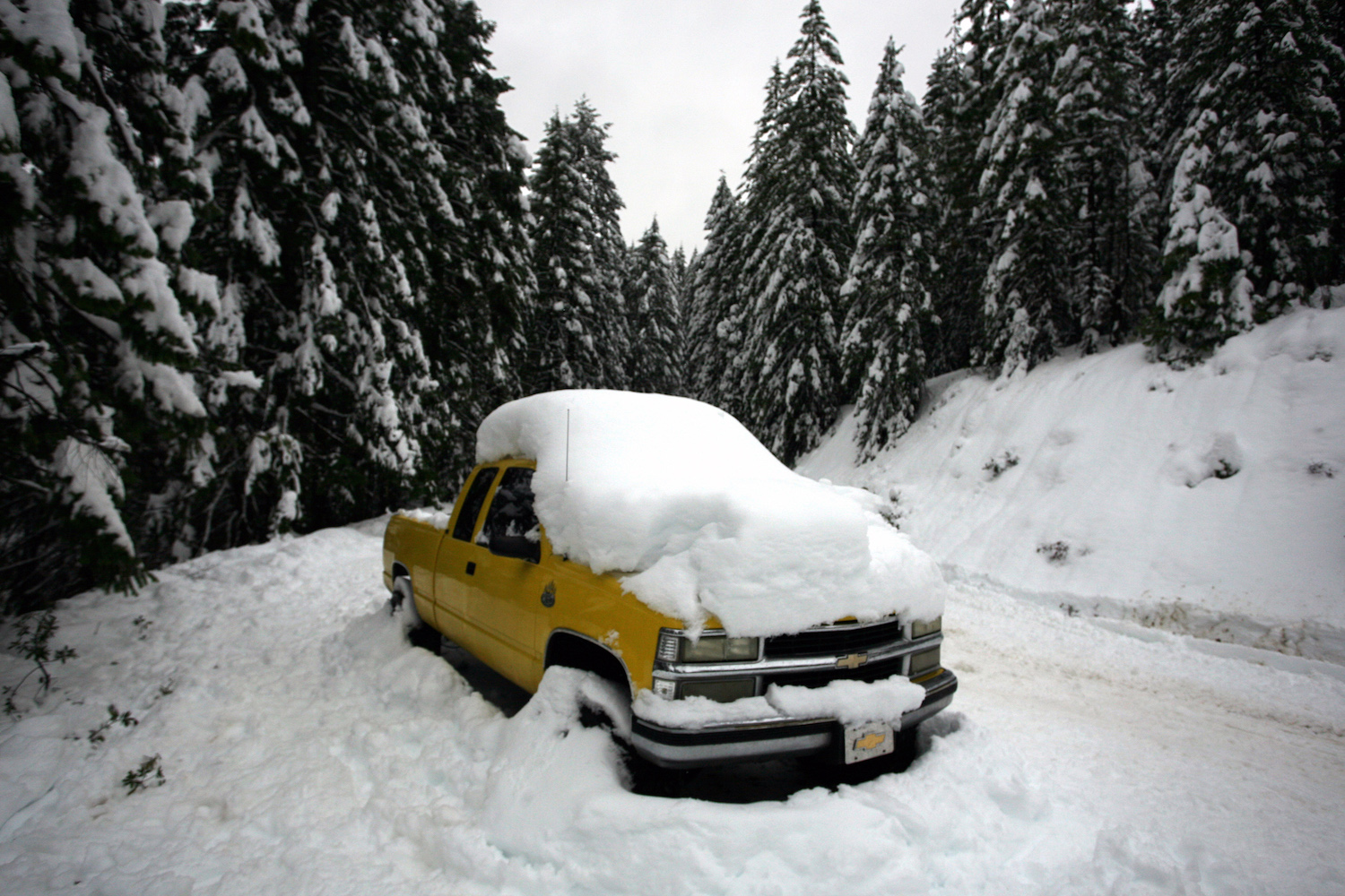 A yellow Chevrolet truck buried under a pile of snowy in front of wintery woods.