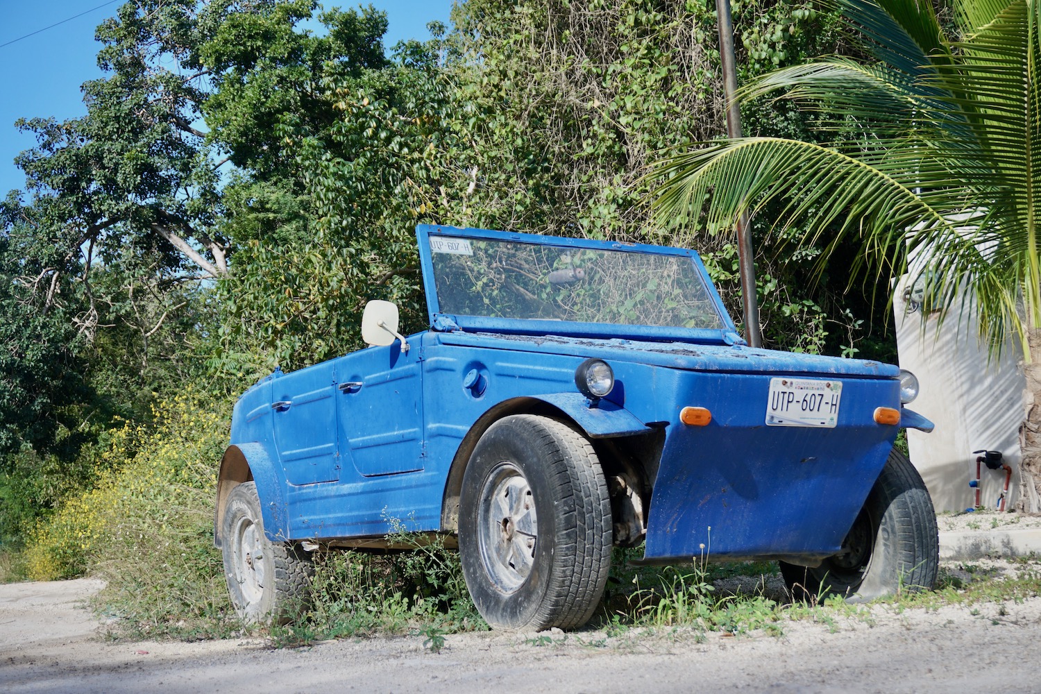 A bright blue Volkswagen Thing off-roader parked in front of a palm tree in Mexico.