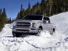 The Best Ford Trucks and SUVs in 2023
