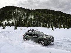 Consumer Reports Loves the Subaru Forester