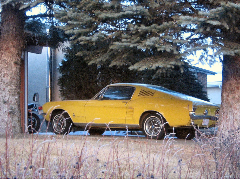 1967 Ford Mustang Fastback barn find in yellow