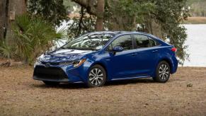 2020 Toyota Corolla Hybrid