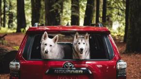 The 2024 4Runner SUV like this red one could get a major update from Toyota