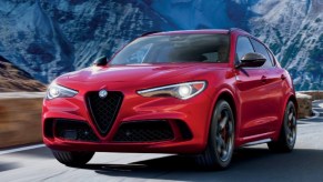 A red Alfa Romeo Stelvio Quadrifoglio compact luxury SUV is driving on the road.