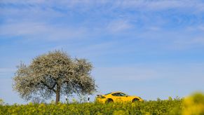 A car drives down the road during the spring