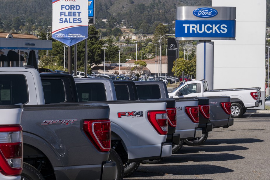 A row of the most popular u.s. truck, the ford F-series pickups, parked at a Fleet sales dealership, a road with streetlights visible in the background.