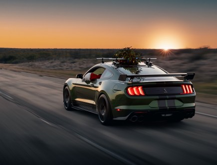 Hennessey Mustang Shelby GT500 Broke a Speed Record With One Really Strange Passenger