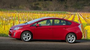 A red 2010 Toyota Prius hybrid hatchback model parked near a field of yellow flowers