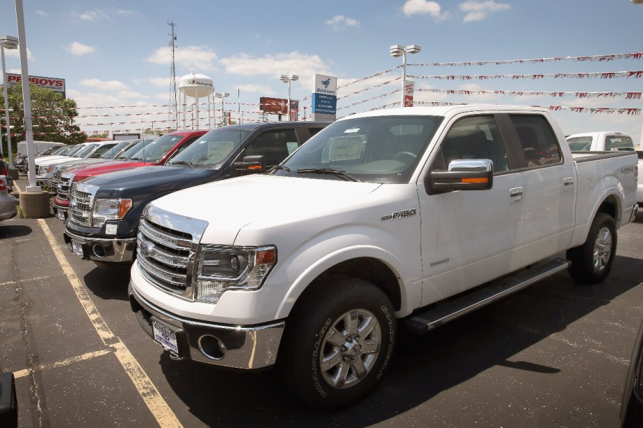 A group of 2014 Ford F-150 trucks sits on a dealership lot.