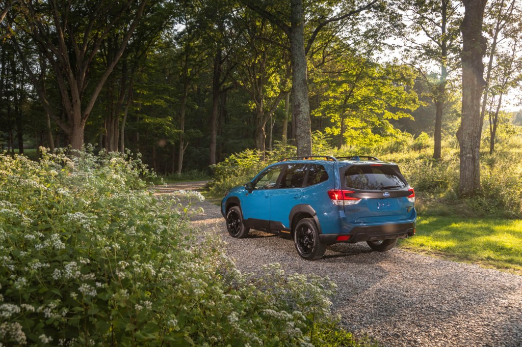 2023 Subaru Forester in blue sits on a forest road with late afternoon sun. 