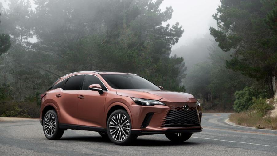A copper-colored 2023 Lexus RX 350 midsize luxury SUV model parked on a forest road surrounded by fog