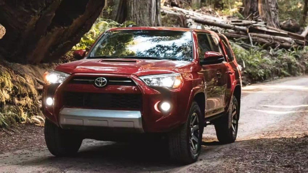 2023 Toyota 4Runner on a Forest Trail