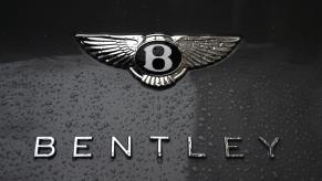 Bentley Logo gray