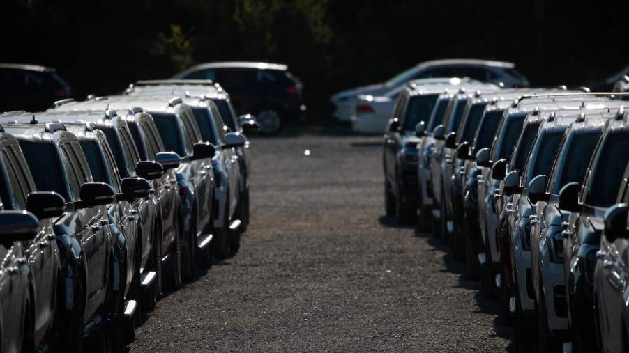 Two rows of SUVs, potentially SUV rental price, parked outdoors.